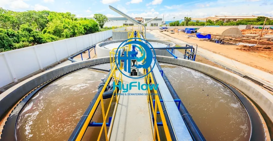 Dewatering and drying
